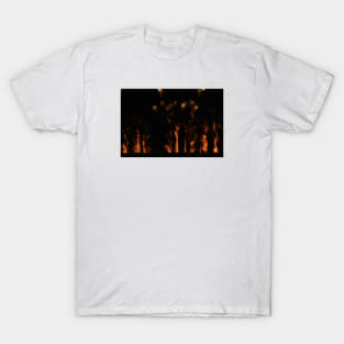 Fire / Swiss Artwork Photography T-Shirt